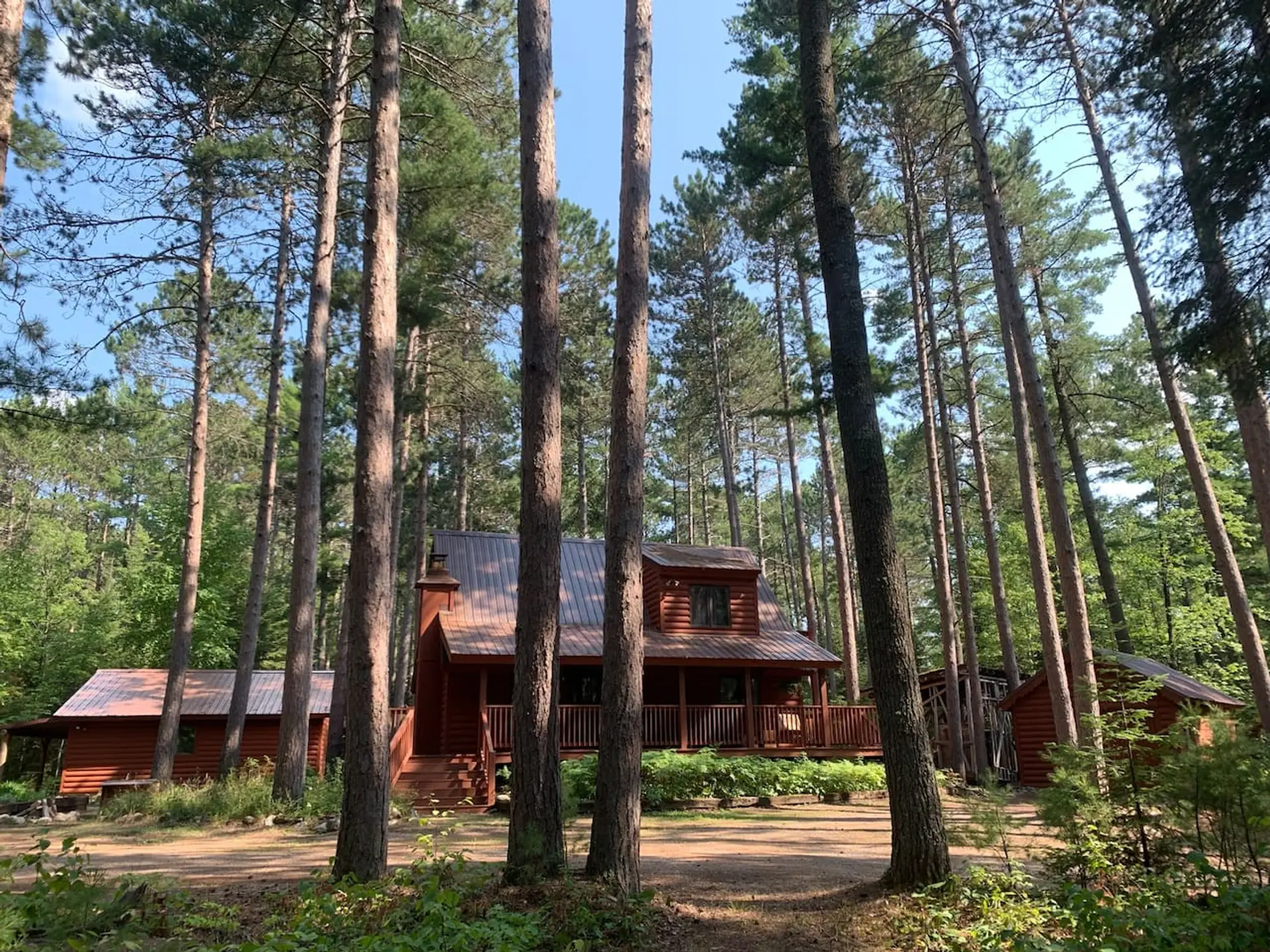 Piney Woods Retreat | Beautiful Pine Forest | Hiking Trails from the Cabin