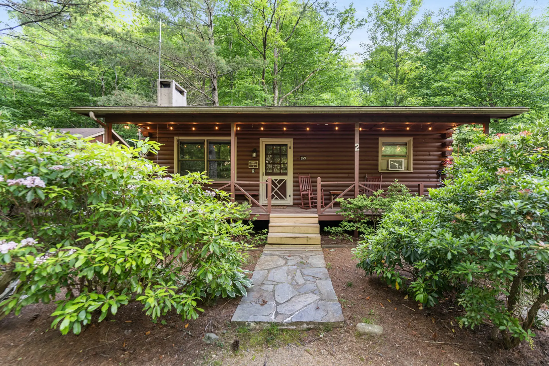 Pine Needles Log Cabin!