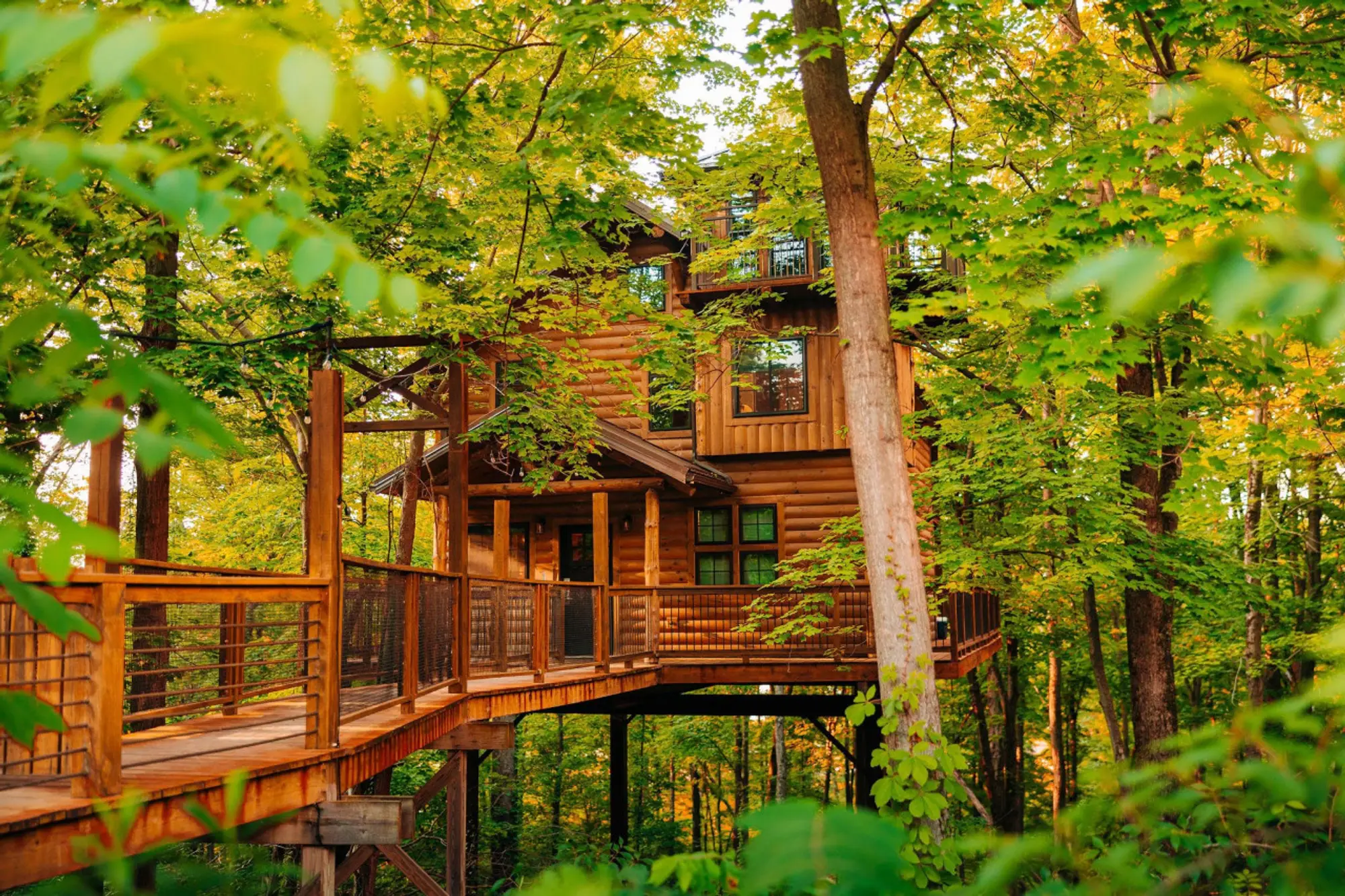 Berlin Woods treehouse among the trees