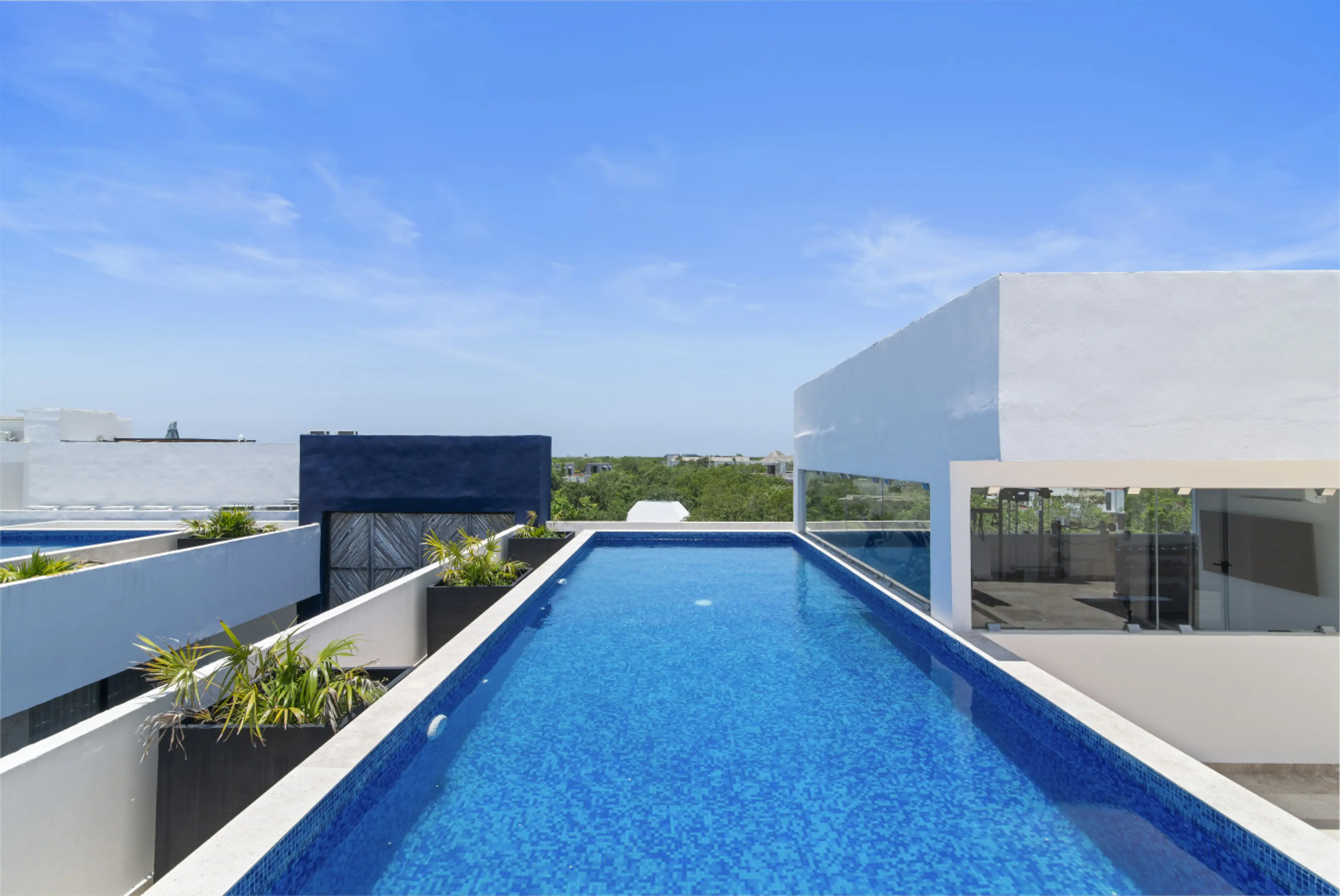 Soak up the sun by this chic rooftop pool with greenery and contemporary touches—perfect for rest, photos, and cool dips.