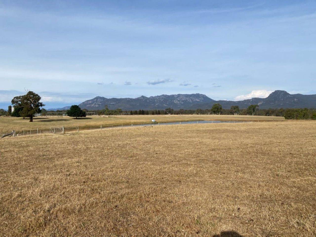 Shacky Bulls Roar – Grampians