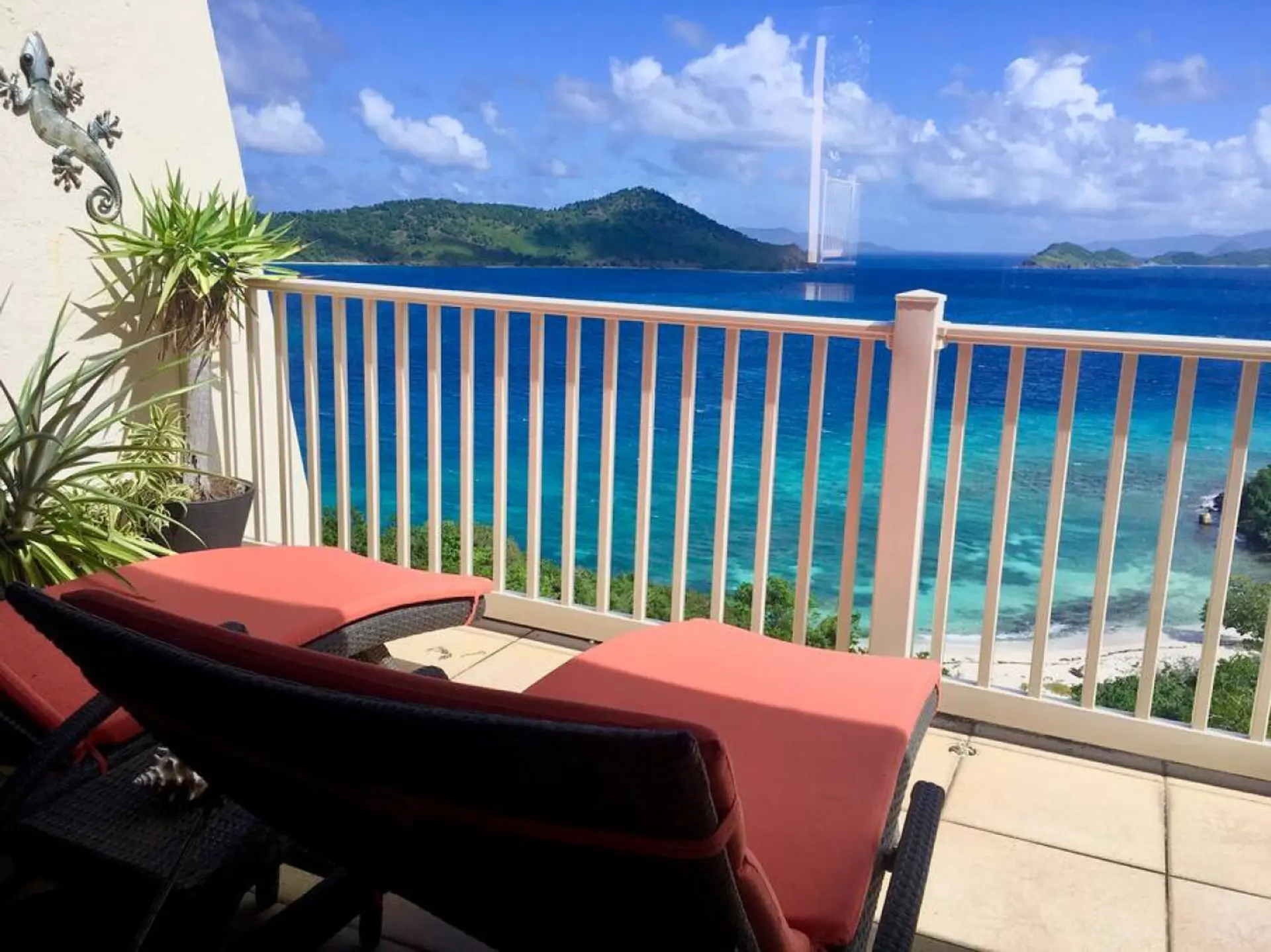 Those Views!