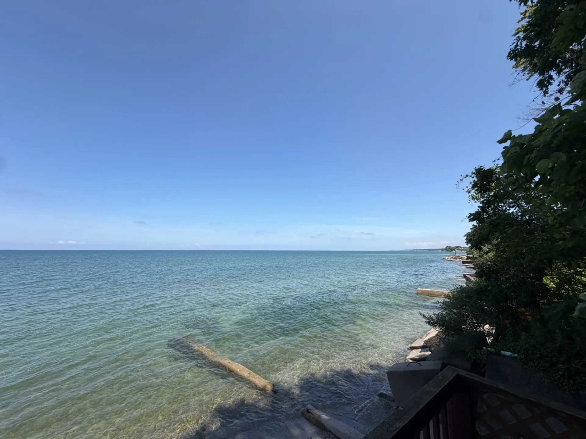 Whips Beach View