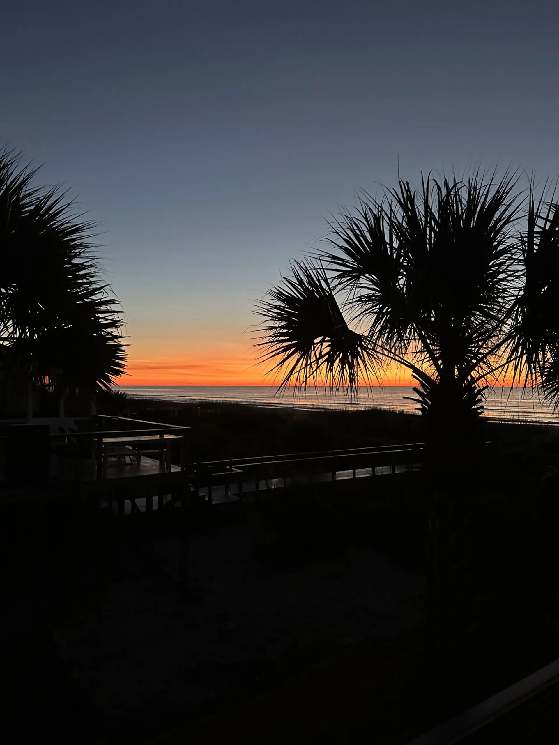 Twilight ocean view from backyard - fiery horizon, palm silhouettes, beach just steps away.