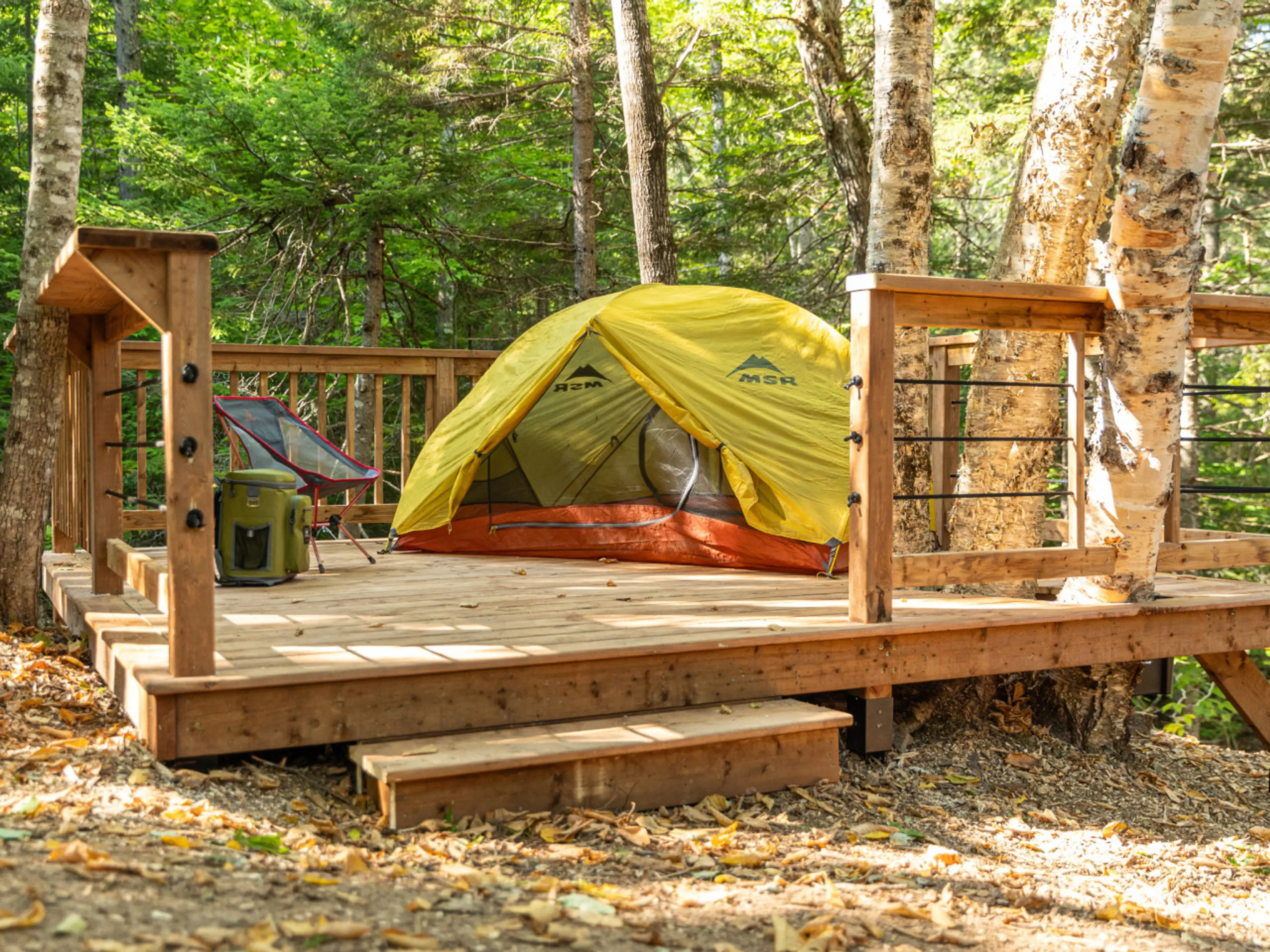 Wake up surrounded by trees on this peaceful wooden tent platform near Poley Mountain and Sussex.