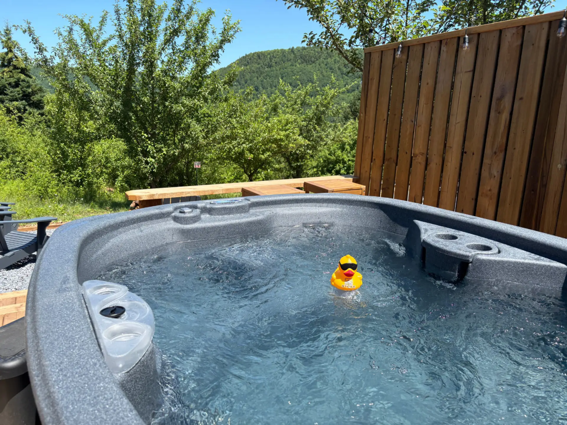 Private hot tub with full mountain and forest views.