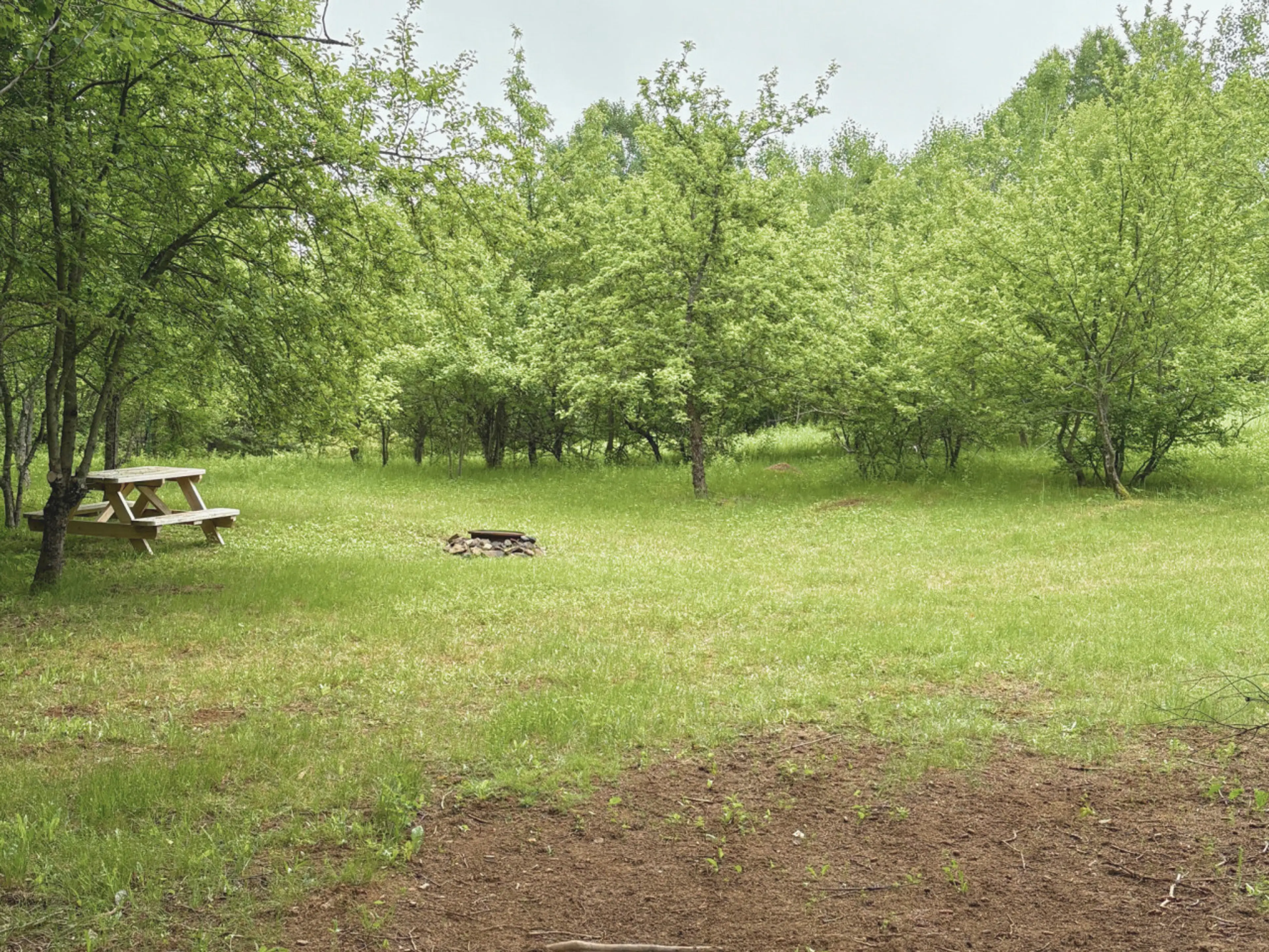 Our most spacious tent site! Nestled in a sunny clearing surrounded by trees, great for larger tents or two-tent setups.
