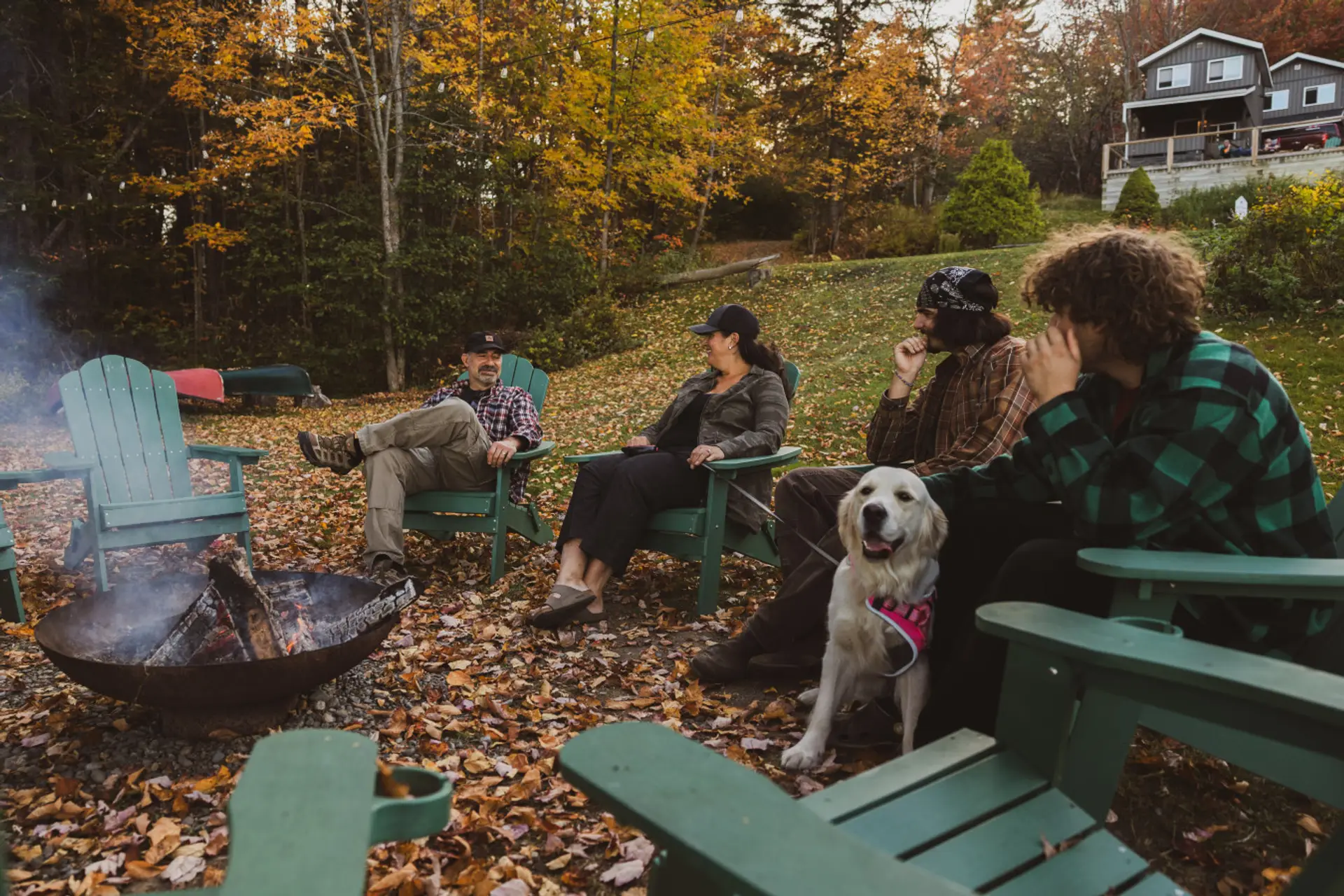 Cabin mornings and lakefront views.