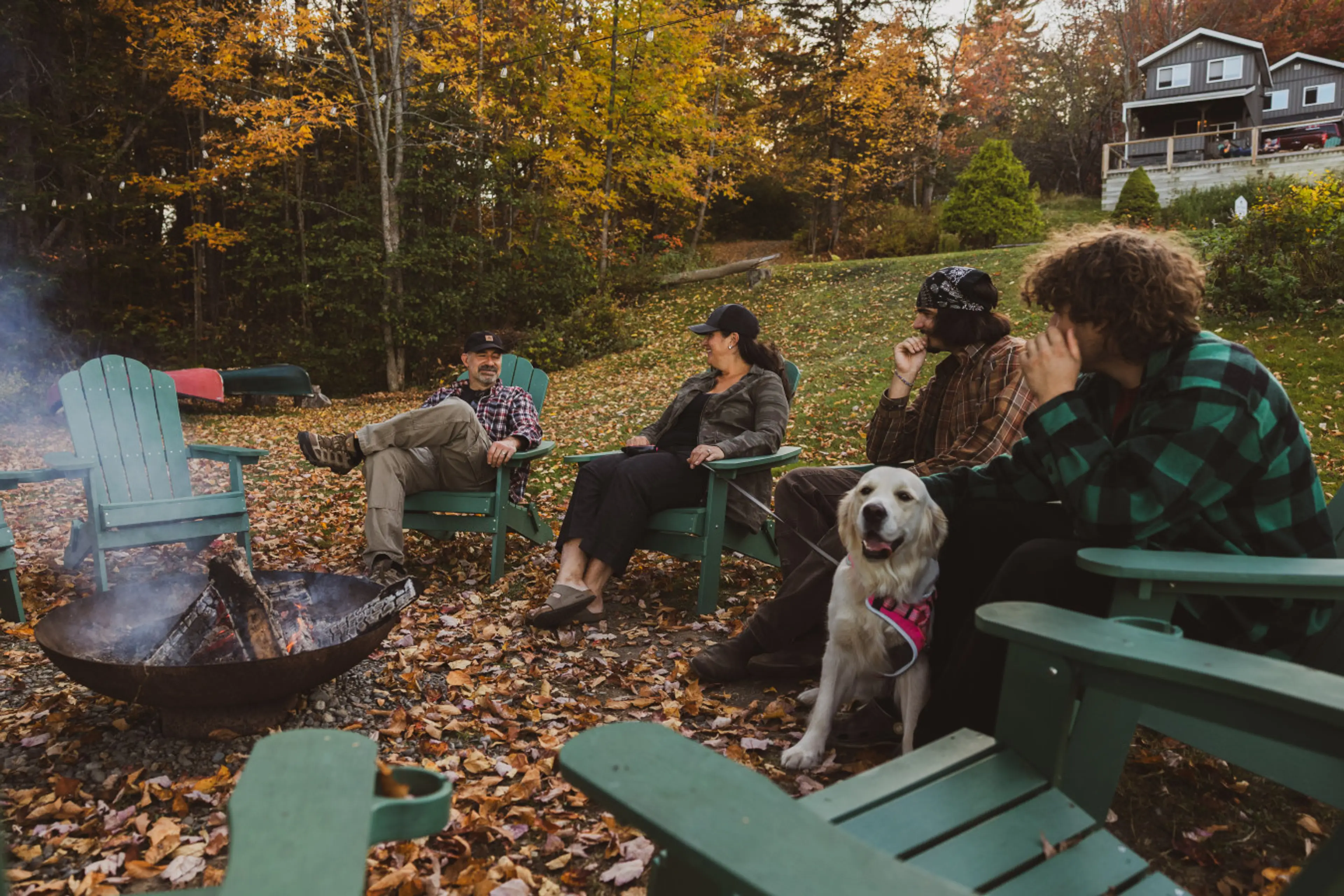 Cabin mornings and lakefront views.