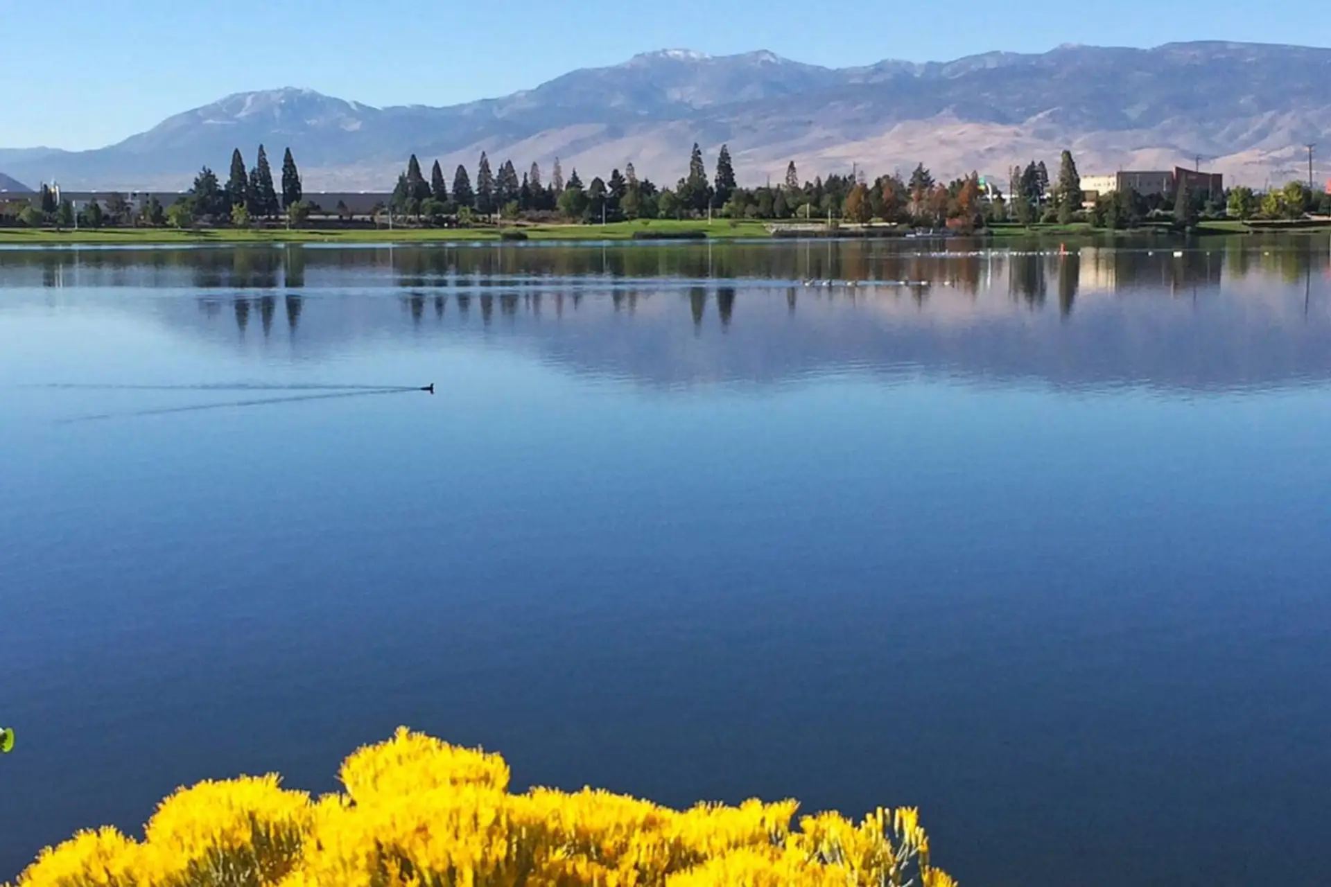 Lake View