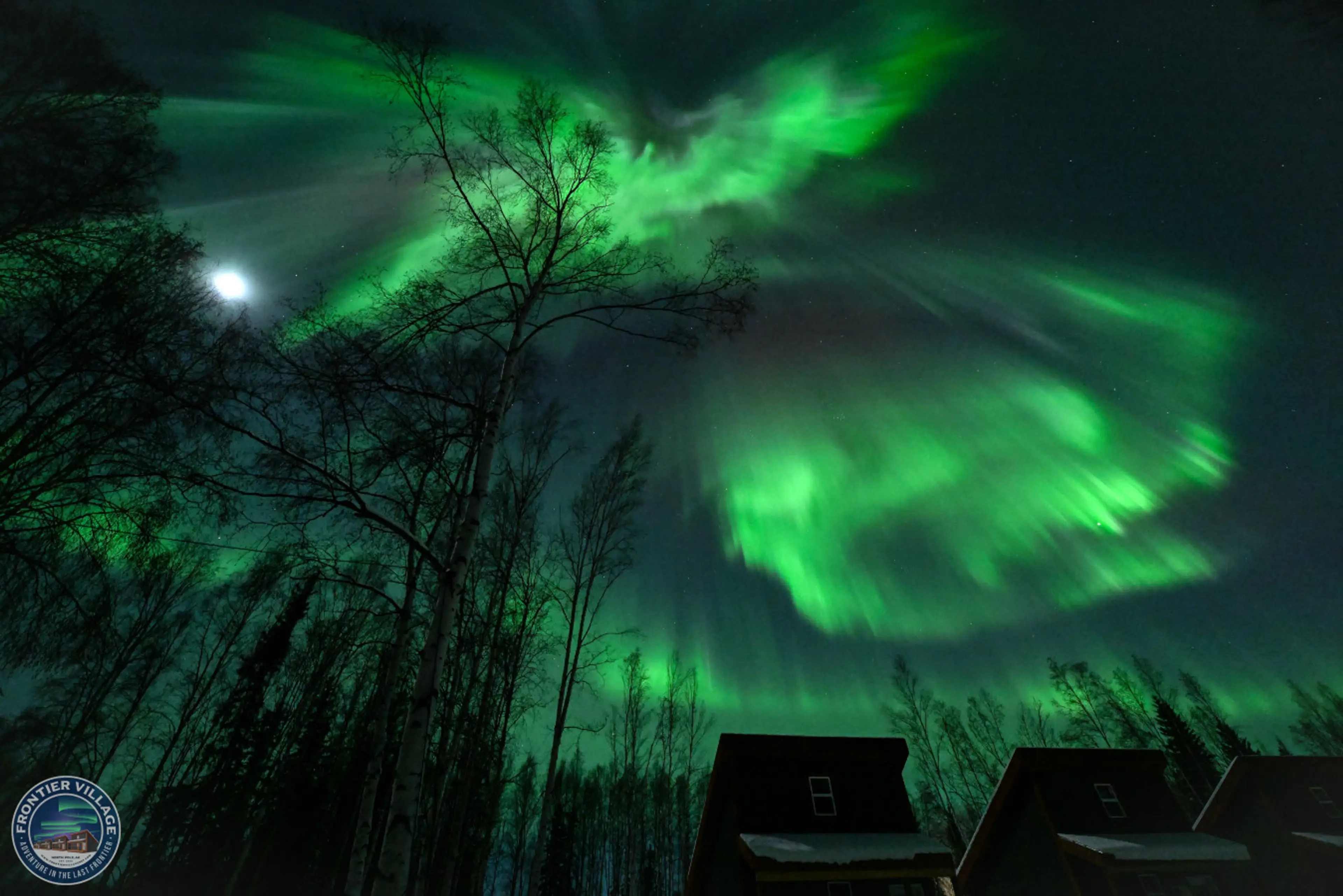 Aurora views over the cabin!
