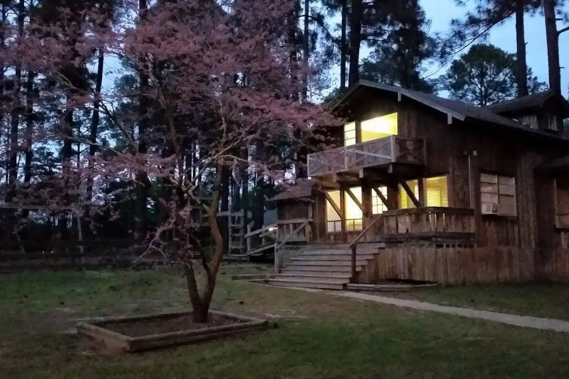 Rustic cabin on 30 acres with trees and lots of space to play or relax in peace and quiet.
