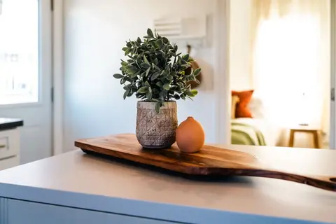 Potted plant on a wooden board on the counter