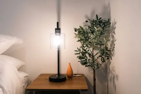 Bedside table with a lamp and a potted tree