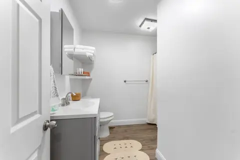 Bathroom with a gray vanity, a mirrored cabinet, and a shower curtain