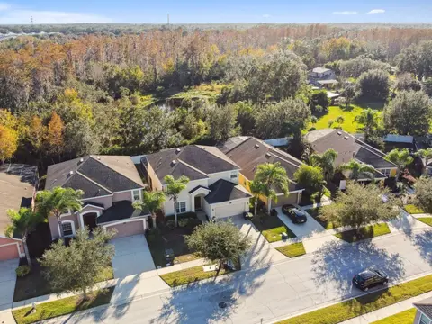 Aerial view of the street, with woods and a pond behind the homes