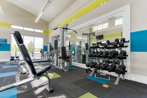 Veranda Palms community fitness center with weight machines and dumbbells
