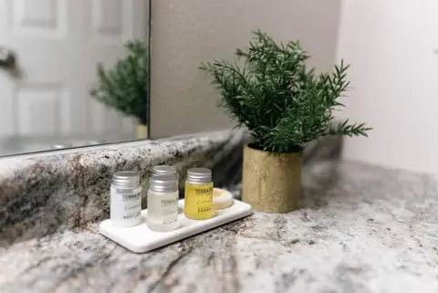 Small bottles of toiletries on a tray beside a potted plant