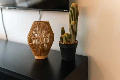 Woven vase and a potted cactus on the TV console