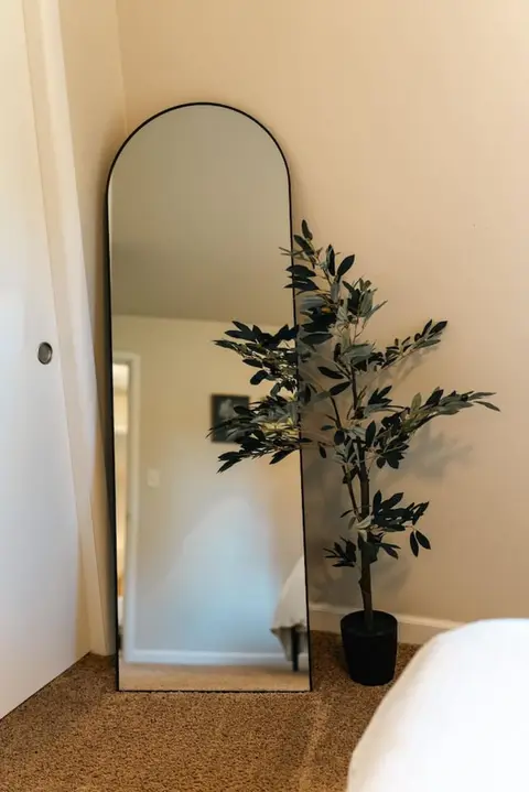 Potted tree beside a floor mirror
