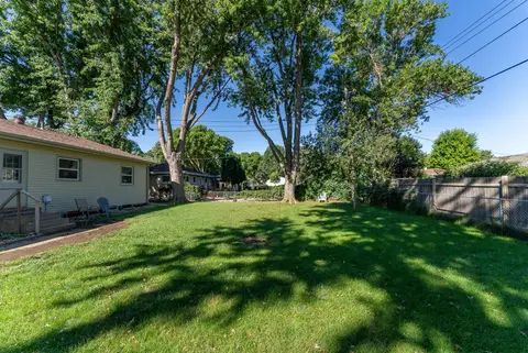 Backyard lawn under tall shade trees, with a wood fence along one side