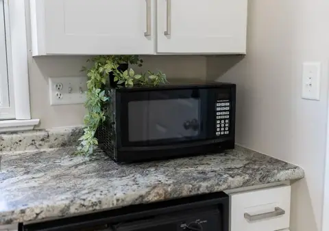 Black microwave on a granite counter beside a plant