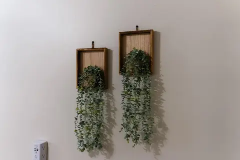 Two hanging plants in wood frames on a white wall
