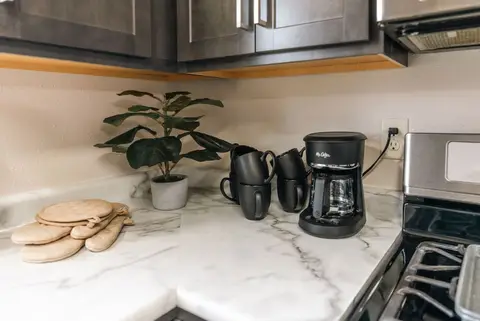 Drip coffee maker, mugs, and a plant on the kitchen counter