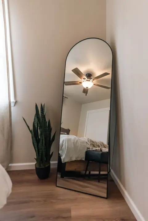 Floor mirror and a potted snake plant in a bedroom corner
