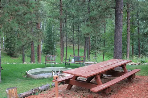 Picnic table beside the pond among tall pines