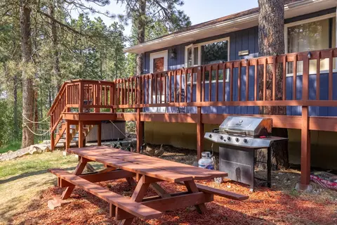 Picnic table and gas grill below the main building’s deck
