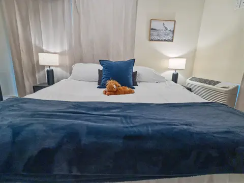 King bed with a navy throw and bedside lamps