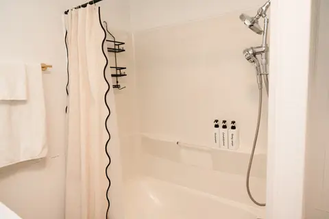 Tub and shower with a handheld showerhead and a curtain