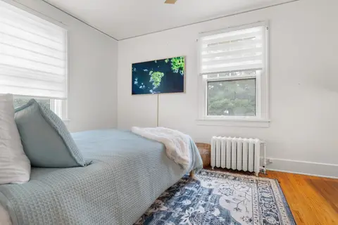 Bedroom with a TV showing art, a queen bed, and two windows with shades