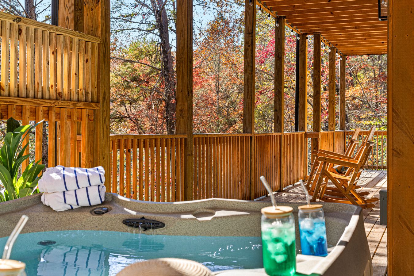 Unwind as the sun shines through the trees