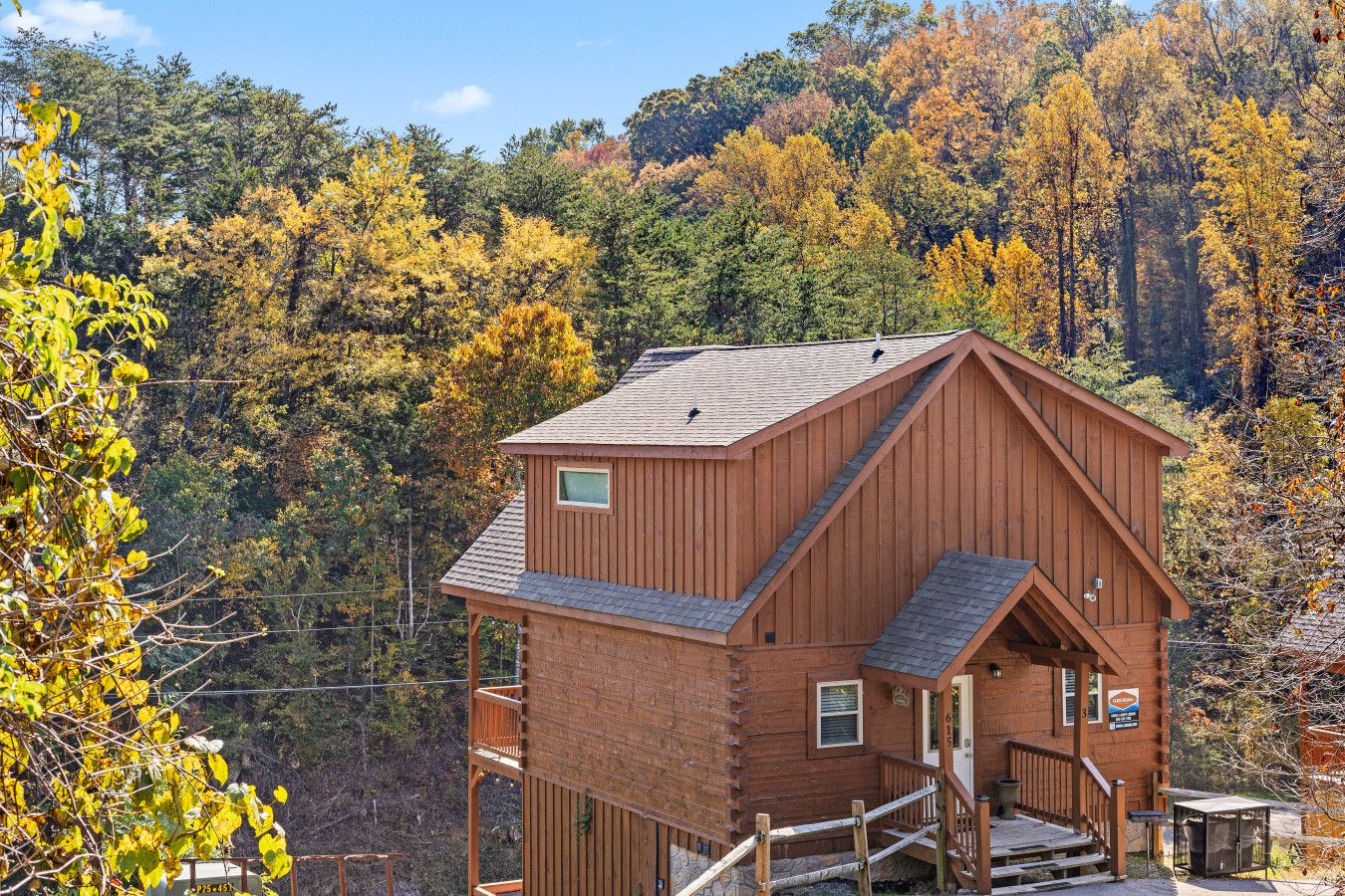 Where luxury meets nature — your cozy cabin retreat nestled just beneath the towering forest canopy.