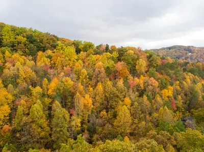 DJI_0154.jpg