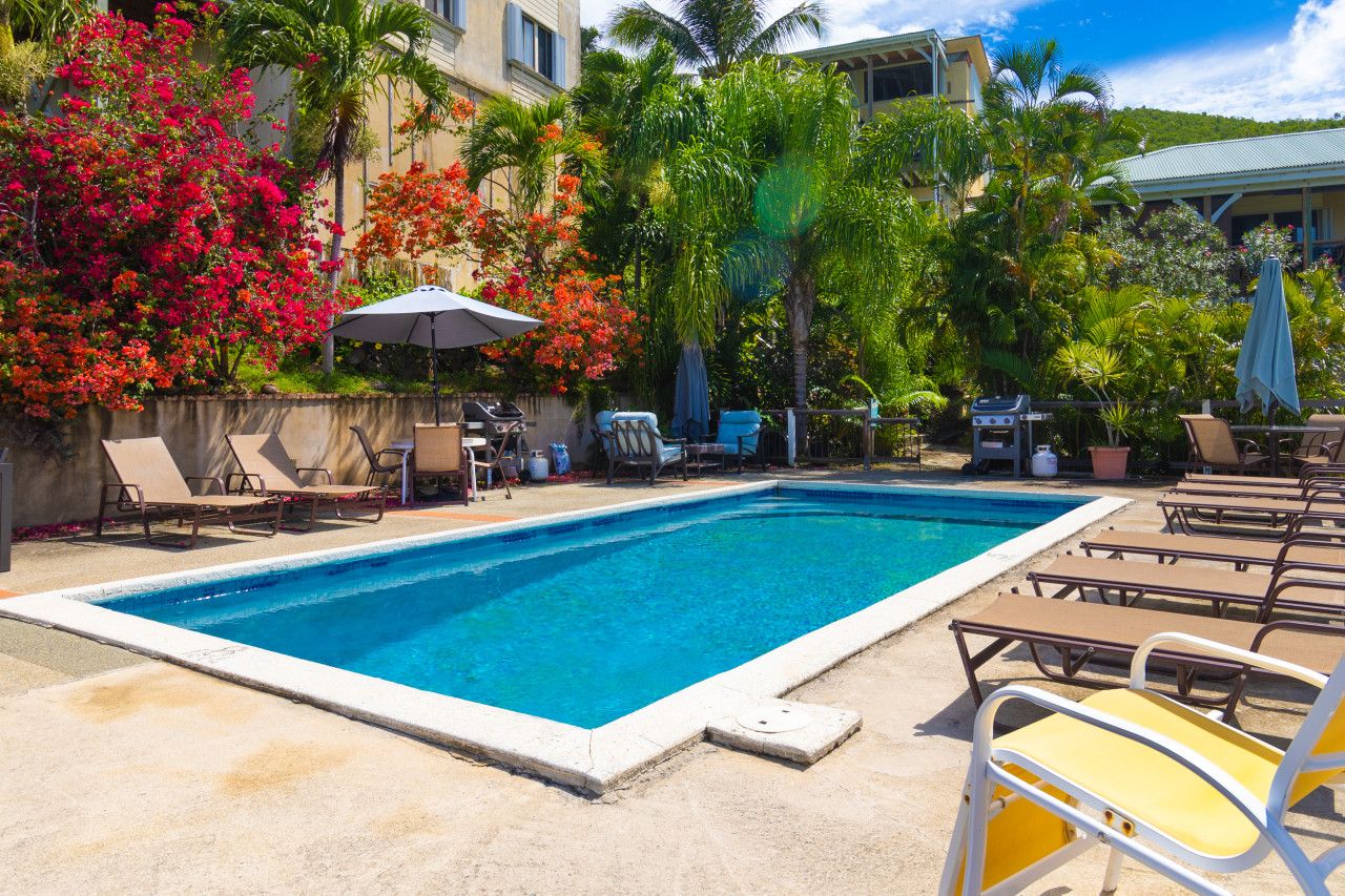 Palmy Daze Condo, Cruz Bay on St. John, USVI business image