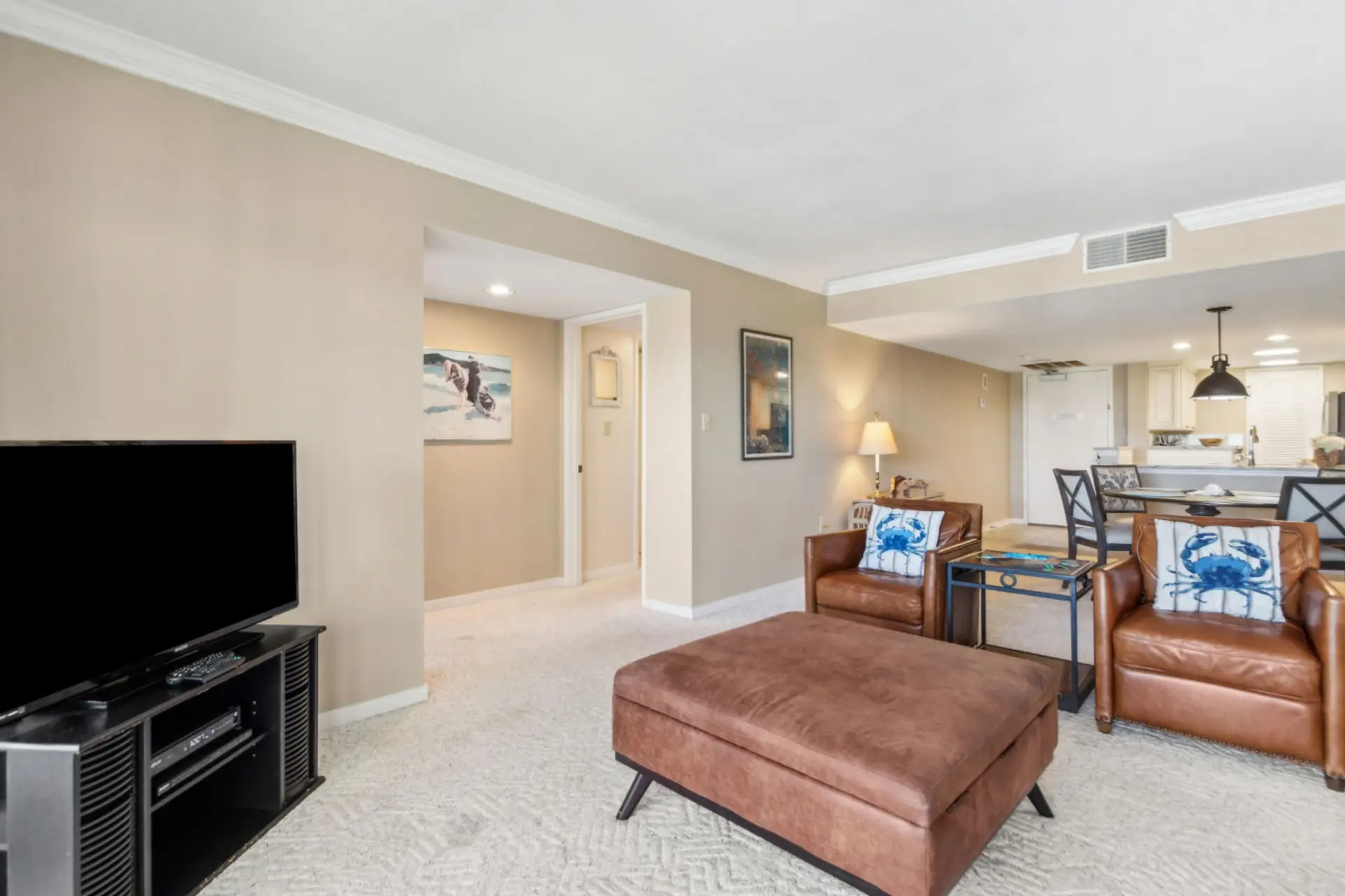 Living room with pull out sofa and cable tv