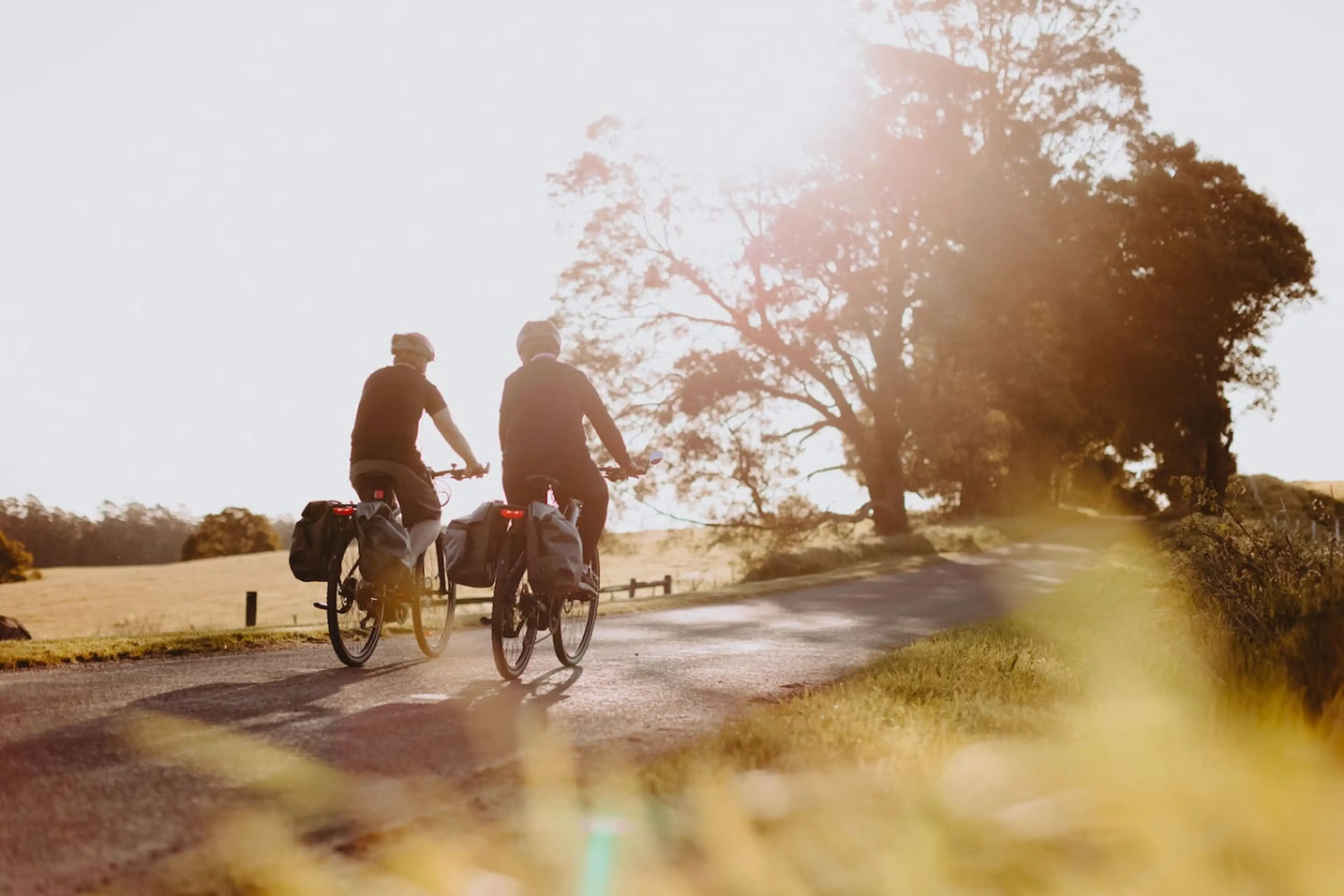 Book our e-bikes for the day.