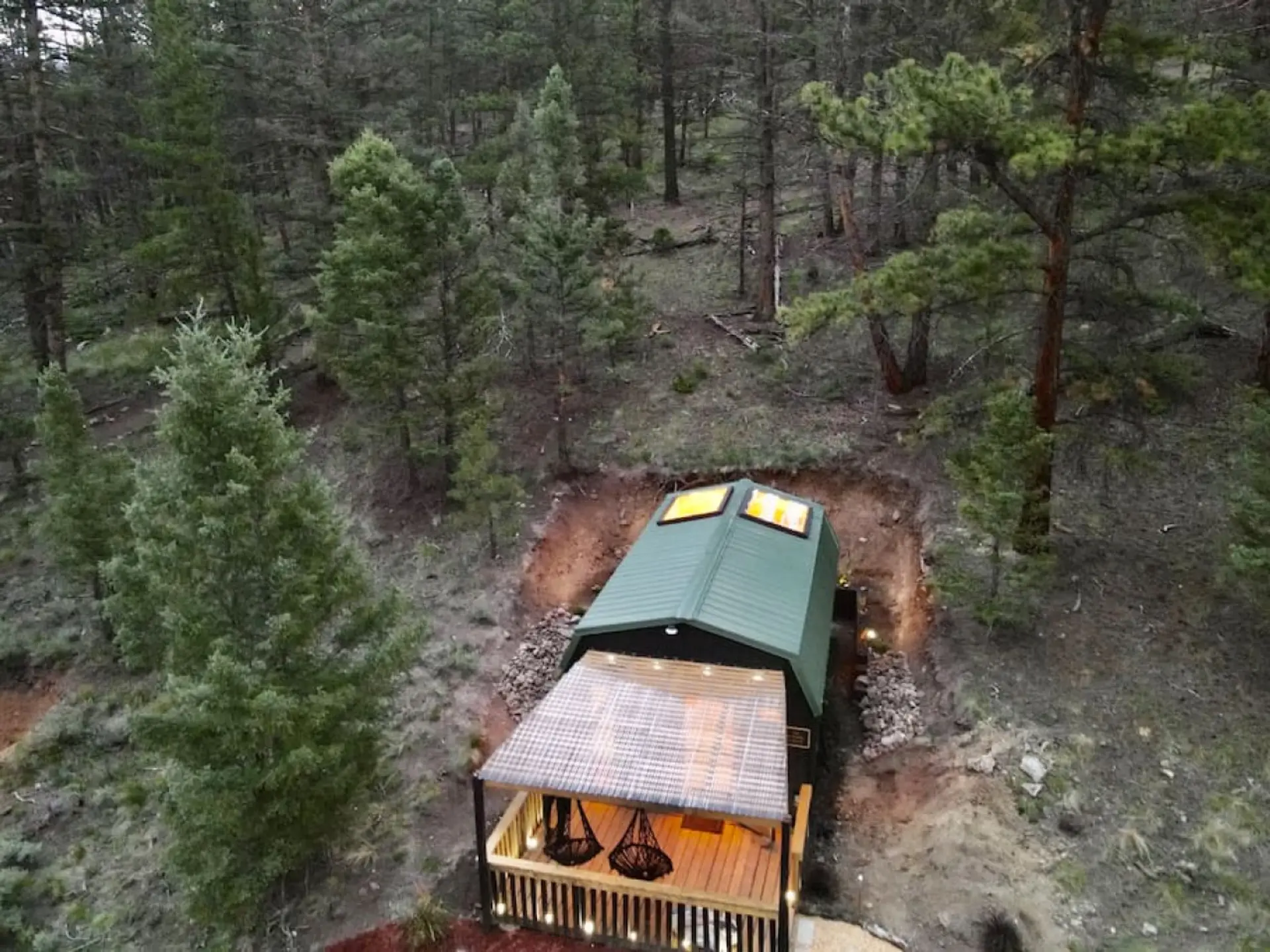 Skylights in the forest