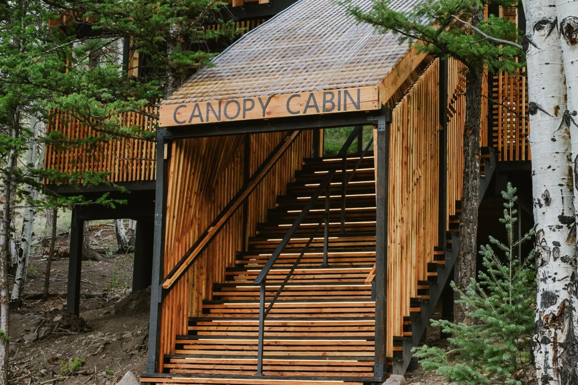 Entrance stairs