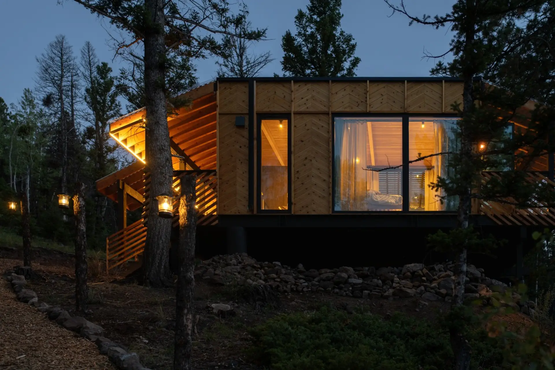 Pine perch at night