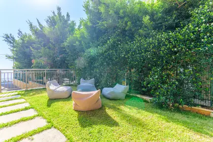 More photos
