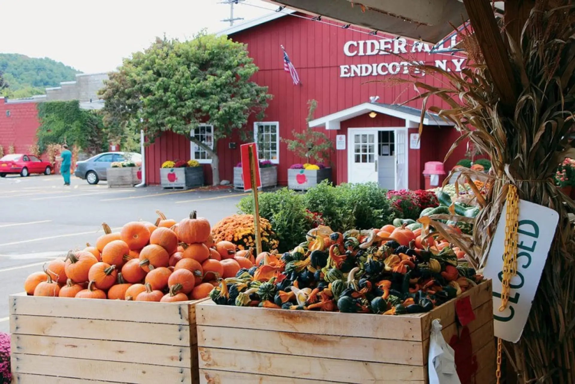 Check out the local businesses such as: The Cider Mill, Lockheed Martin, The Tioga Downs Casino and Golf Course.