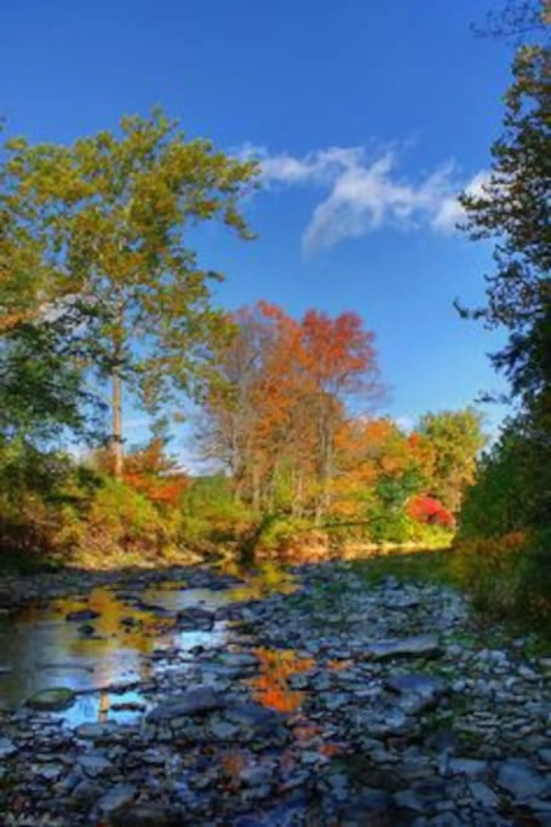 Enjoy the beautiful parks, walking trail and hiking in and around Broome County.  These include: Otsenago Park, Greenwood Park, Toughannock Falls, Robert Treman State Park and Buttermilk Falls State Park to name a few.