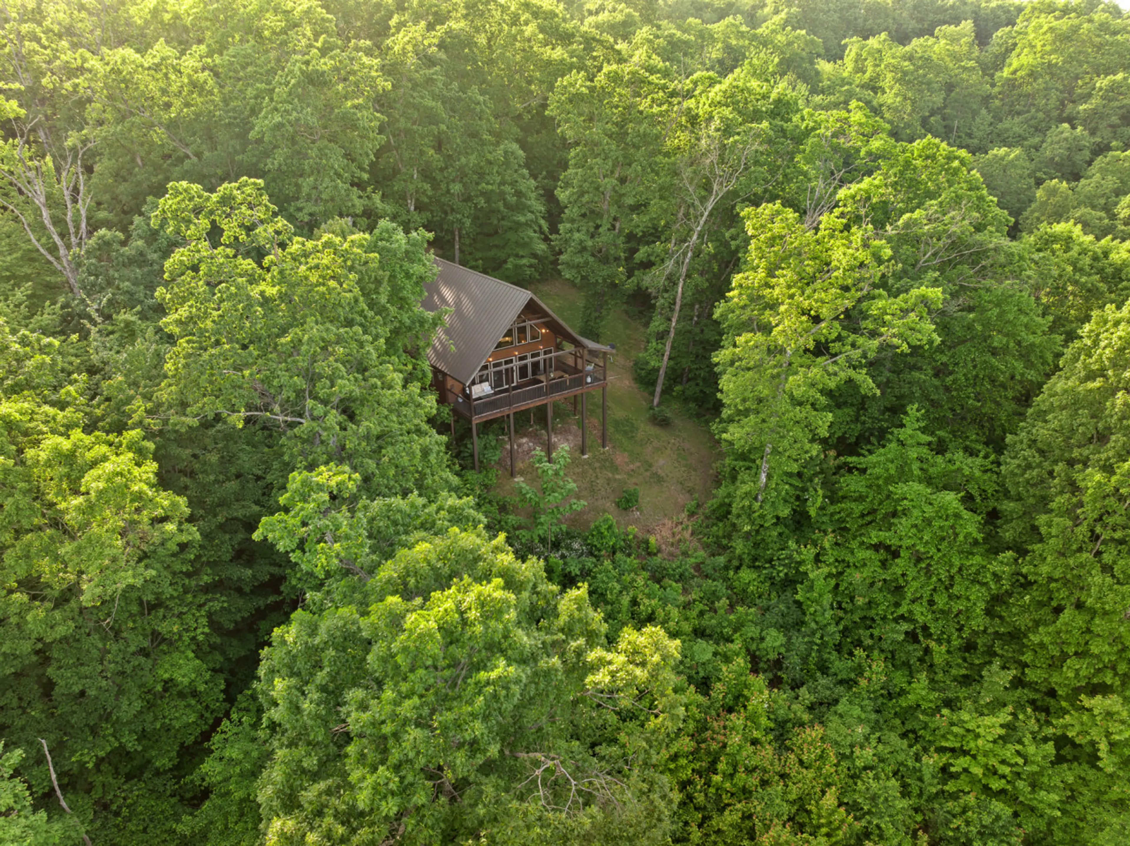 Mountain Crest Treetop Cabin
