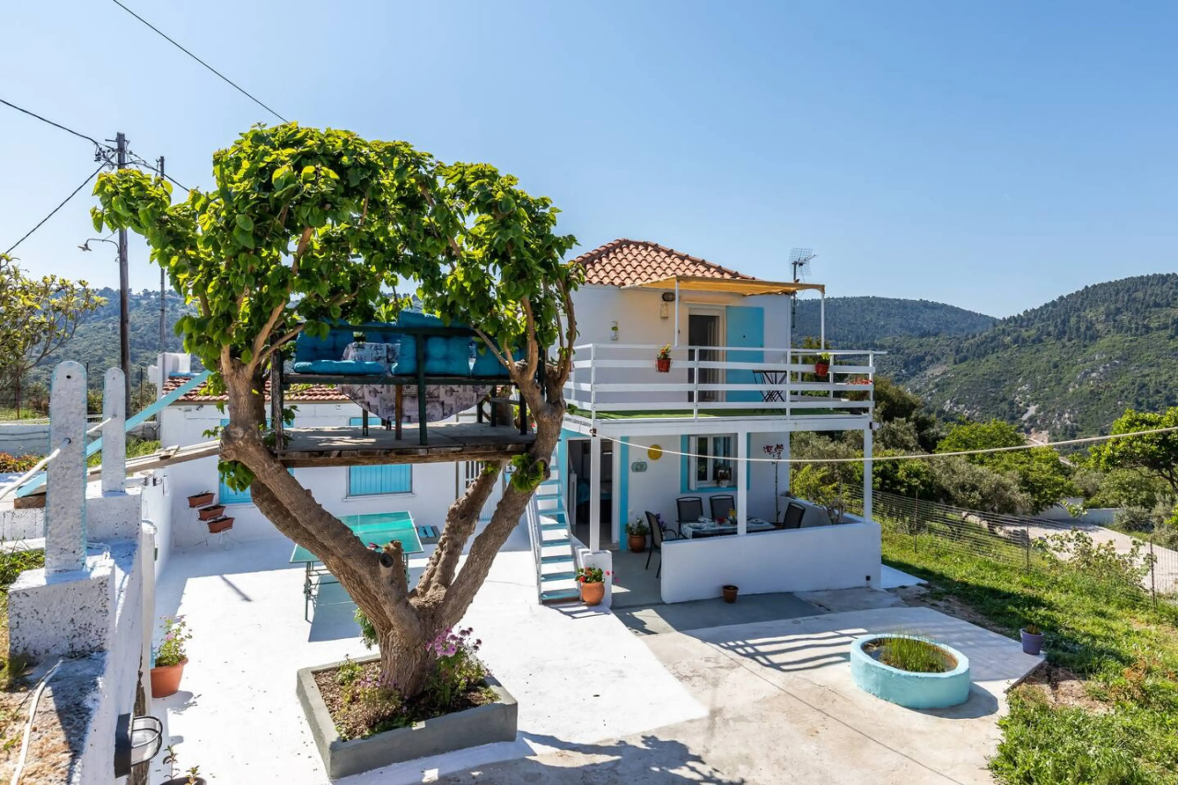 Full property exterior with tree house