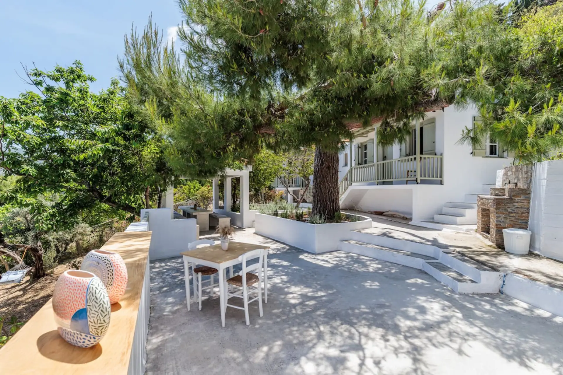 A complete picture of the lovely courtyard of the house filled with many trees, for enjoyment and relaxation