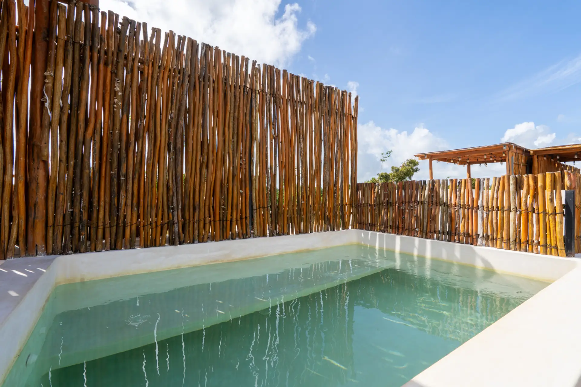 Privet roof with tub